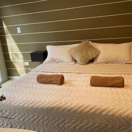 Chardonnay Apartment 门多萨 外观 照片